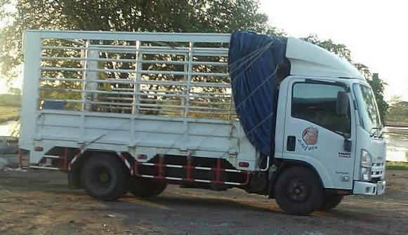 หกล้อ อีซูซุ NMR130แรง ปี54 วิ่ง 80&times;&times;&times;กม สภาพสวยบางเดิมใช้งานน้อยไม่เคยมีอุบัติเหตุ ทะเบียนพร้อมโอน ราคา 685,000บ ต่อรอง