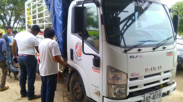 หกล้อ อีซูซุ NMR130แรง ปี54 วิ่ง 80&times;&times;&times;กม สภาพสวยบางเดิมใช้งานน้อยไม่เคยมีอุบัติเหตุ ทะเบียนพร้อมโอน ราคา 685,000บ ต่อรอง