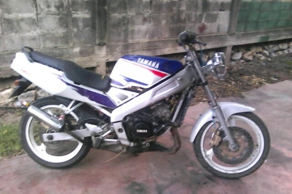 yamaha tzm 150
