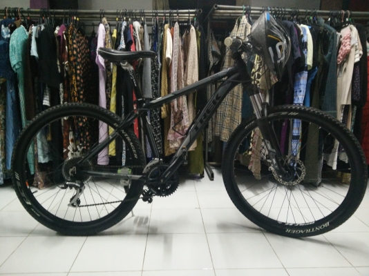 เสือภูเขาแทรกไซด์16