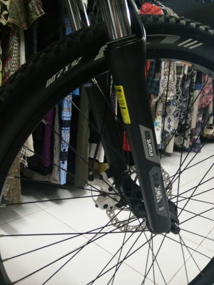 เสือภูเขาแทรกไซด์16 เสือภูเขาแทรกไซด์16