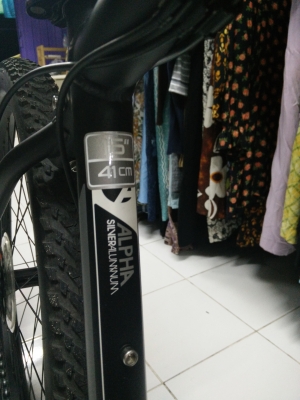 เสือภูเขาแทรกไซด์16 เสือภูเขาแทรกไซด์16