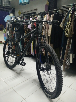 เสือภูเขาแทรกไซด์16 เสือภูเขาแทรกไซด์16