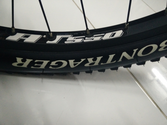 เสือภูเขาแทรกไซด์16 เสือภูเขาแทรกไซด์16