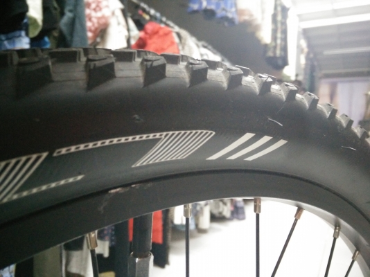 เสือภูเขาแทรกไซด์16 เสือภูเขาแทรกไซด์16