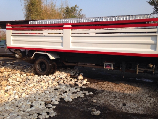 Hino FC3JLKA ปี 43 หกสูบ 165 แรงม้า ยาว 6.10/ ดั๊ม 12 ตัน เบรคทีฟฟี้ พาวเวอร์ เรเดียรหกเส้น Hino FC3JLKA ปี 43 หกสูบ 165 แรงม้า ยาว 6.10/ ดั๊ม 12 ตัน เบรคทีฟฟี้ พาวเวอร์ เรเดียรหกเส้น