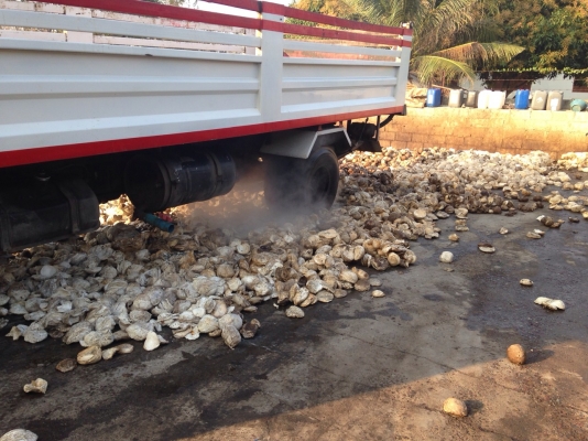 Hino FC3JLKA ปี 43 หกสูบ 165 แรงม้า ยาว 6.10/ ดั๊ม 12 ตัน เบรคทีฟฟี้ พาวเวอร์ เรเดียรหกเส้น Hino FC3JLKA ปี 43 หกสูบ 165 แรงม้า ยาว 6.10/ ดั๊ม 12 ตัน เบรคทีฟฟี้ พาวเวอร์ เรเดียรหกเส้น