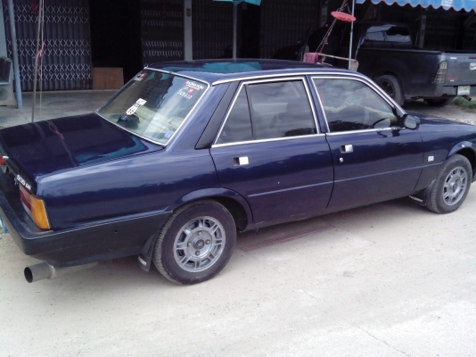 เปอร์โย505