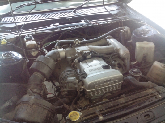 เปอร์โย505