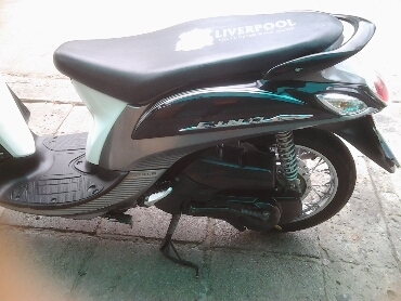 ฟีโน่ปี56