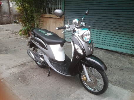 ฟีโน่ปี56