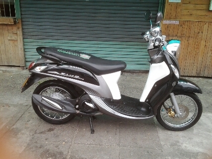 ฟีโน่ปี56