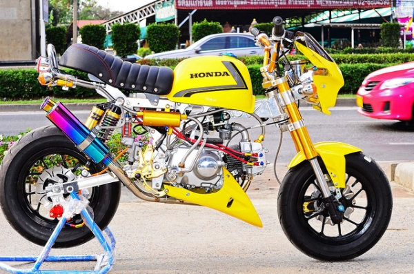 มังกี้ กอลิล่า แต่งๆๆ ลดราคาทุกรุ่นและมีของแถมอีกมากมาย  ด่วนๆๆ ลดๆๆ