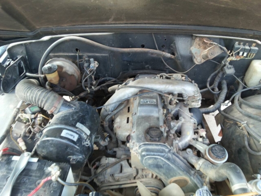 จิ้บ โบราณ