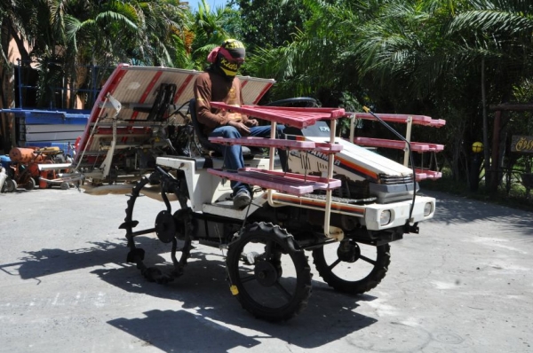 ขายรถดำนาราคาถูก yanmar (5แถว) สภาพสวยเดิมจากญี่ปุ่นยังไม่เคยใช้ในไทย 39,000เท่านั้น