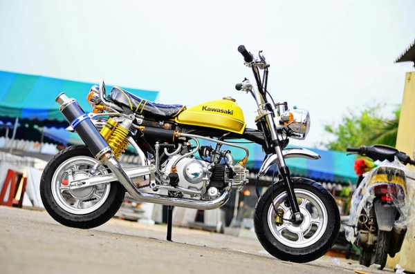 มังกี้ กอลิล่า แต่งๆๆ ลดราคาทุกรุ่นและมีของแถมอีกมากมาย  ด่วนๆๆ ลดๆๆ