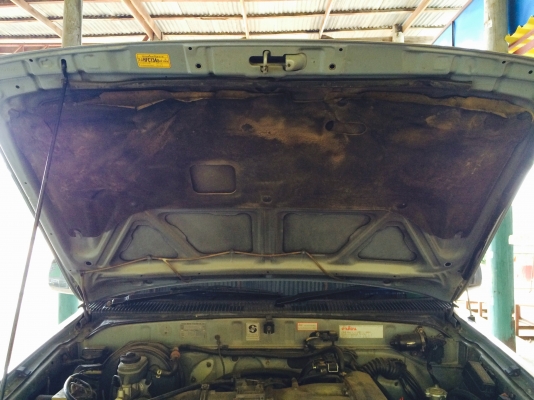 ขายไทเกอร์โฟร์วิล