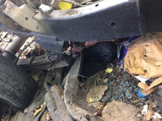 ขายช่วงล่าง NISSAN BIG M ขายช่วงล่าง NISSAN BIG M