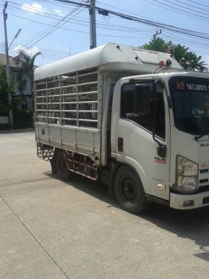 ขายรถบรรทุก 4 ล้อไม่ติดเวลา