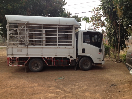 ขายรถบรรทุก 4 ล้อไม่ติดเวลา