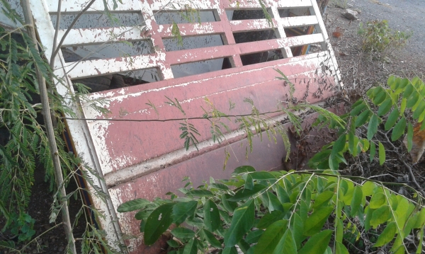 ขายลูกพ่วงสองคานดั้ม