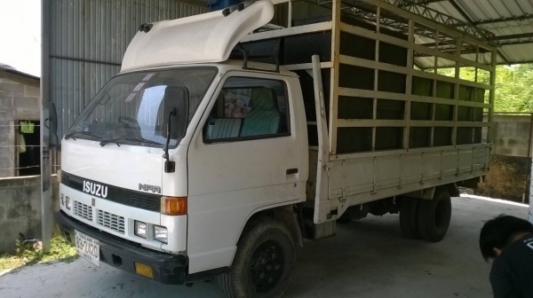 ขาย 6 ล้อ ISUZU NPR58L คัสซีสวยตลอดเส้น เครื่อง 4BE1 110 แรงม้า แต่งเกียร์สั้น พวงมาลัยพาวเวอร์ คอกเหล็กพร้อมบรรทุก ทะเบียนพร้อมโอน