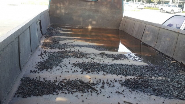 ขายด่วนTOYOTAหกล้อถ้าคุณมองรถใช้งานคันนี้ถูกสุดๆแล้วครับสภาพพร้อมใช้งานราคาเบาๆโทร0843923995