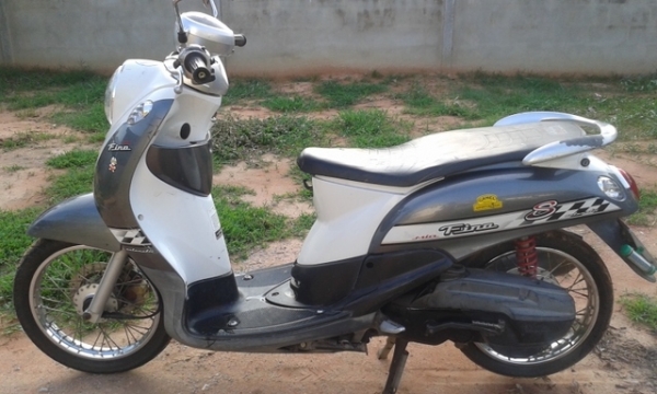 ขายฟีโน่ถูกๆ-8300