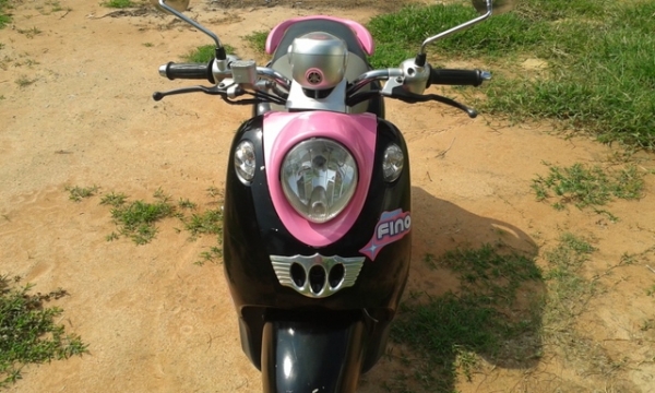 ขายฟีโน่ทะเบียนเต็ม-12500 ขายฟีโน่ทะเบียนเต็ม-12500