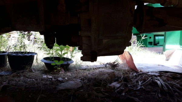 รถดั้ม115ประกอบ มีสโลกลาง Fหน้า-หลัง พวงมาลัยพาวเวอร์ รถดั้ม115ประกอบ มีสโลกลาง Fหน้า-หลัง พวงมาลัยพาวเวอร์