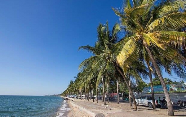 ขายบ้านเดี่ยว สวนกรีนเพลส คอเขาบางพระ ซอยเทศบาล 8 บางพระ ชลบุรี