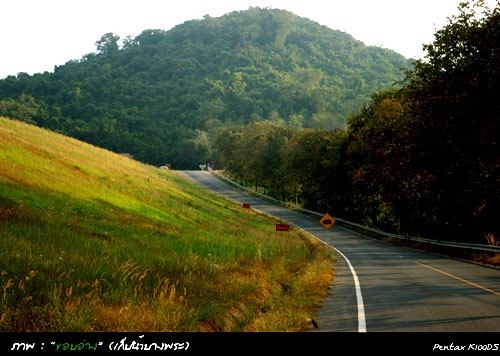 ขายบ้านเดี่ยว สวนกรีนเพลส คอเขาบางพระ ซอยเทศบาล 8 บางพระ ชลบุรี