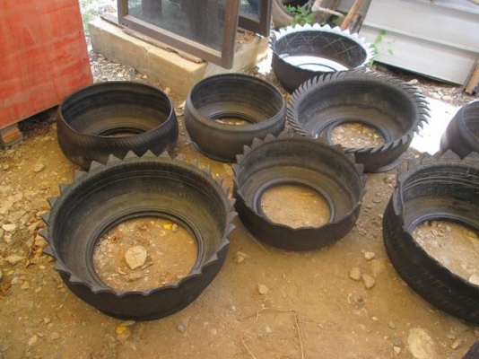 ขายกระถางยางรถยนต์