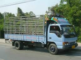 รถ6ล้อรับจ้าง มีรถกระบะ รถ4ล้อ รถ6ล้อรับจ้าง มีรถกระบะ รถ4ล้อ