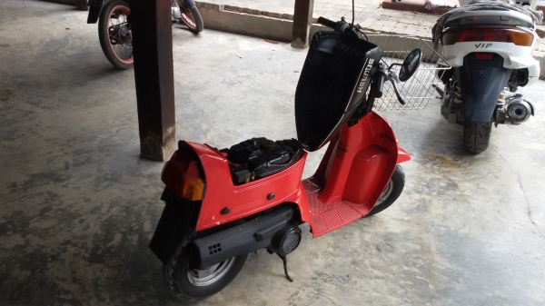 รถป๊อป HONDA SQUASH 50cc. รถป๊อป HONDA SQUASH 50cc.
