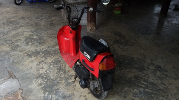 รถป๊อป HONDA SQUASH 50cc. รถป๊อป HONDA SQUASH 50cc.
