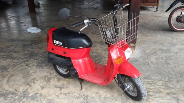 รถป๊อป HONDA SQUASH 50cc.