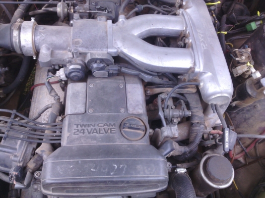 ขายเปอร์โย ขายเปอร์โย