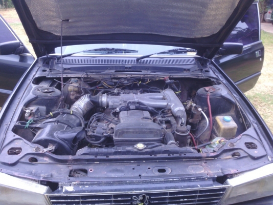 ขายเปอร์โย ขายเปอร์โย