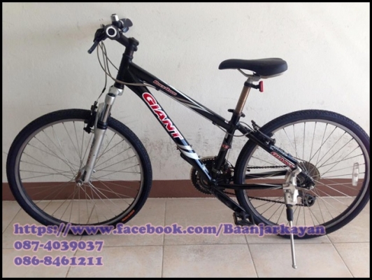 Giant Rock 4500 Size 14"