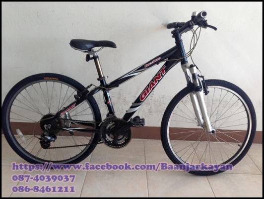 Giant Rock 4500 Size 14"