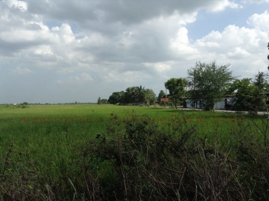 @@@  พี้นที่ทำโรงงาน หมู่บ้านได้(103ไร่)คลองหกวา ลำลูกกา ปทุมธานี