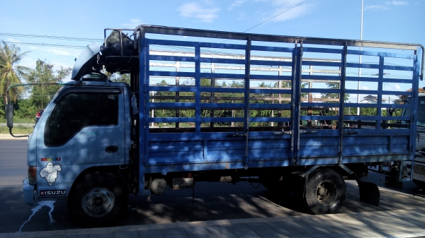 ขาย ISUZU NPR 120 ปี 42 รถพร้อมใช้งาน สนใจติดต่อโทร 085-2762725 (แมน)