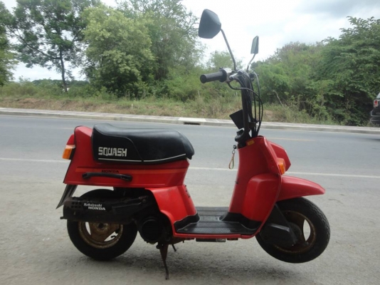 ขาย Honda SQUASH 50 cc ประกอบใหม่