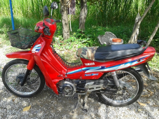 ขายทะเบียนสวยแถมรถ