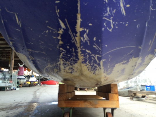 ปลาโอ 700cc