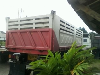 ขายหางสามมิตร ปี 49 หางสวย สภาพดี ขายหางสามมิตร ปี 49 หางสวย สภาพดี