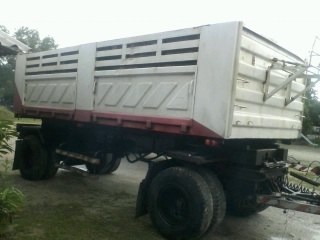 ขายหางสามมิตร ปี 49 หางสวย สภาพดี ขายหางสามมิตร ปี 49 หางสวย สภาพดี