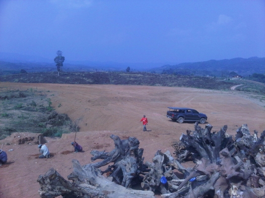 ขายที่ดิน ต.ปอน อ,ทุ่งช้าง จ,น่าน เนื้อที่ประมาณ 200 ไร่