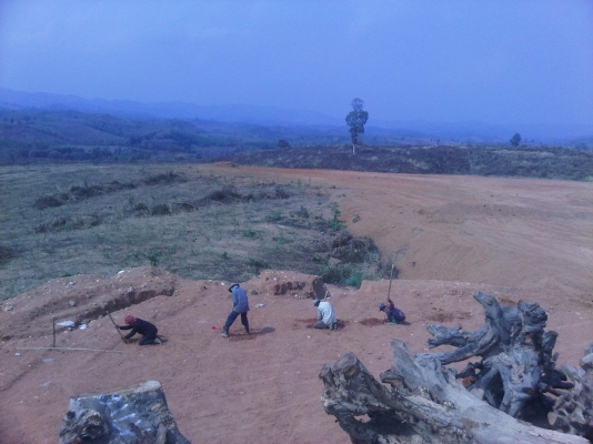 ขายที่ดิน ต.ปอน อ,ทุ่งช้าง จ,น่าน เนื้อที่ประมาณ 200 ไร่